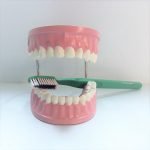 Μοντέλο Οδοντικής Φροντίδας