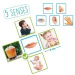 the-5-senses (3)